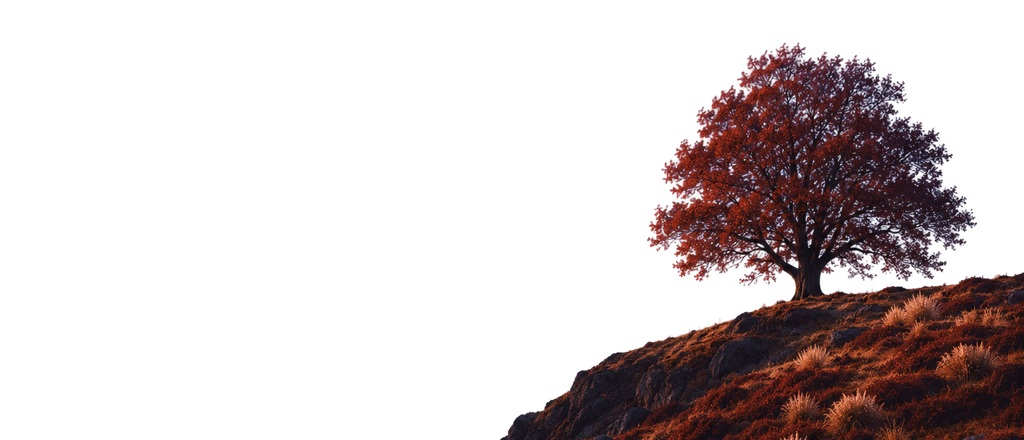Cinematic AI video frames